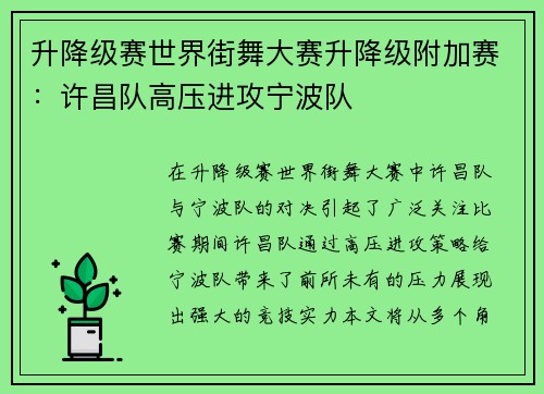 升降级赛世界街舞大赛升降级附加赛：许昌队高压进攻宁波队