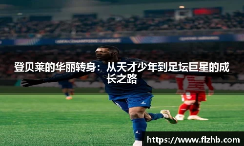 星空·综合体育官方网站